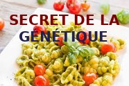 Que Manger Pour Maigrir Durablement?